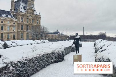 La Neige à Paris - Jardin des Tuileries