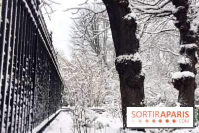 La Neige à Paris