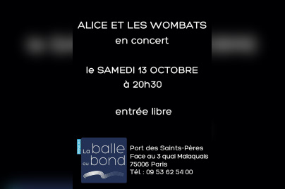 Alice et les Wombats
