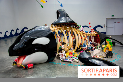 Base de données LaurentP