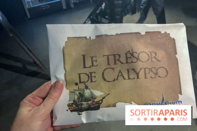 Les 60 ans de LEGO® à l'Aquarium de Paris