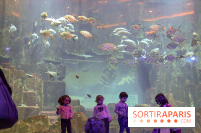 Les 60 ans de LEGO® à l'Aquarium de Paris