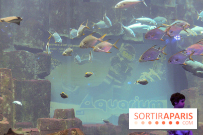 Les 60 ans de LEGO® à l'Aquarium de Paris