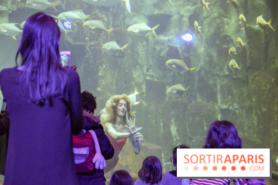 Les 60 ans de LEGO® à l'Aquarium de Paris