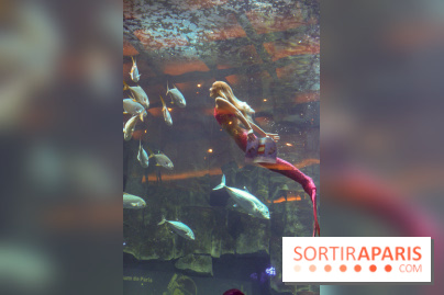 Les 60 ans de LEGO® à l'Aquarium de Paris