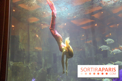 Les 60 ans de LEGO® à l'Aquarium de Paris