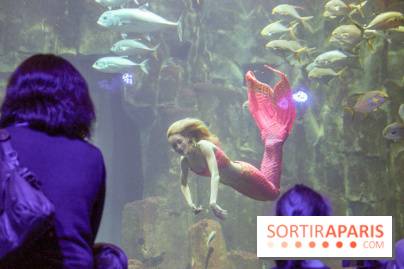 Les 60 ans de LEGO® à l'Aquarium de Paris