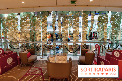 Exposition Monstera Dubia à Beaugrenelle