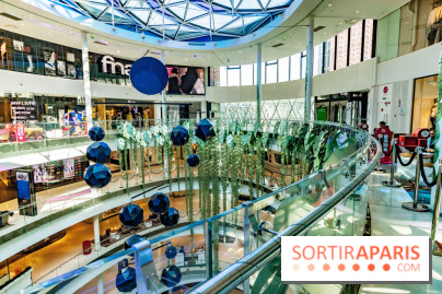 Exposition Monstera Dubia à Beaugrenelle