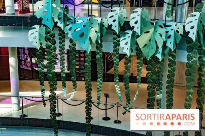 Exposition Monstera Dubia à Beaugrenelle