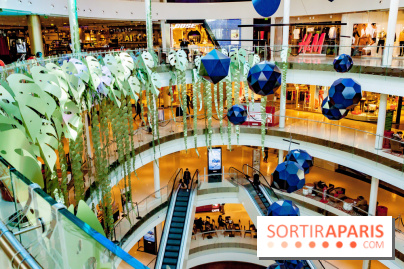 Exposition Monstera Dubia à Beaugrenelle