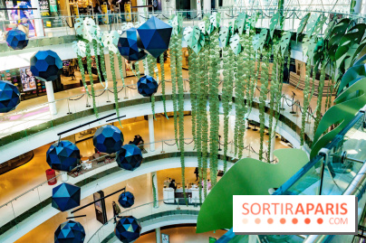 Exposition Monstera Dubia à Beaugrenelle