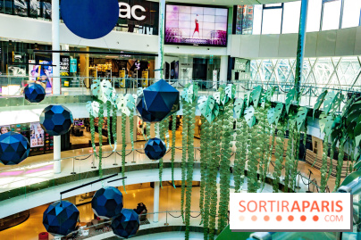 Exposition Monstera Dubia à Beaugrenelle