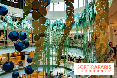 Exposition Monstera Dubia à Beaugrenelle