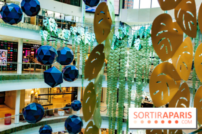 Exposition Monstera Dubia à Beaugrenelle