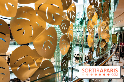 Exposition Monstera Dubia à Beaugrenelle