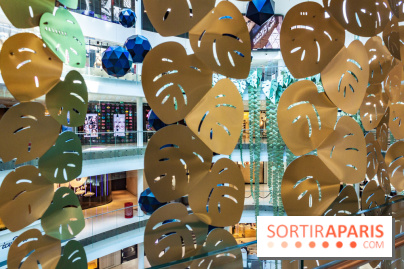 Exposition Monstera Dubia à Beaugrenelle