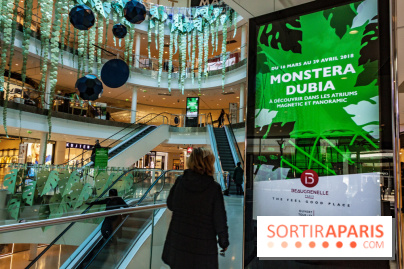 Exposition Monstera Dubia à Beaugrenelle