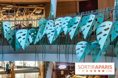 Exposition Monstera Dubia à Beaugrenelle