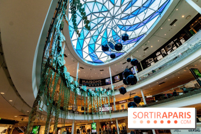 Exposition Monstera Dubia à Beaugrenelle