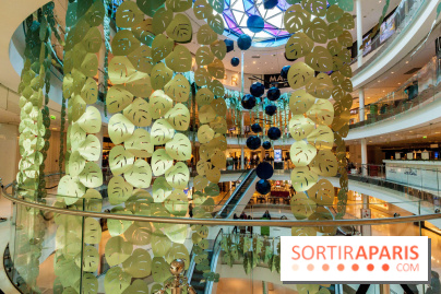 Exposition Monstera Dubia à Beaugrenelle