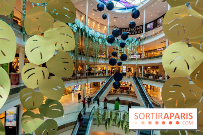 Exposition Monstera Dubia à Beaugrenelle