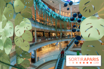 Exposition Monstera Dubia à Beaugrenelle