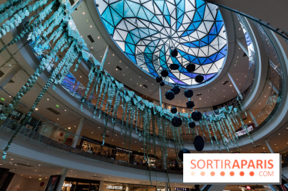 Exposition Monstera Dubia à Beaugrenelle