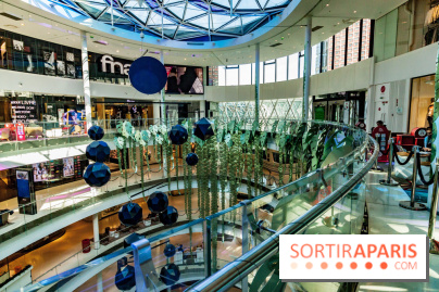 Exposition Monstera Dubia à Beaugrenelle