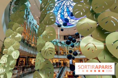 Exposition Monstera Dubia à Beaugrenelle