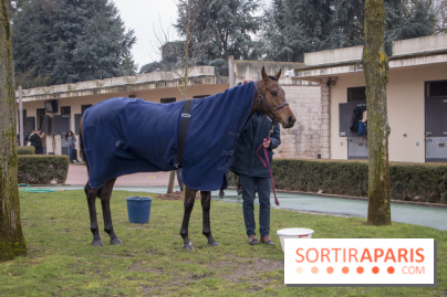 Les Dimanches au Galop 2018