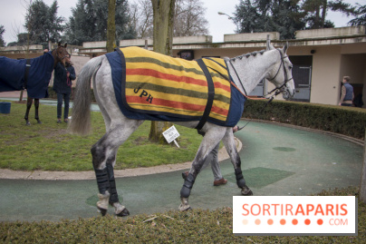 Les Dimanches au Galop 2018