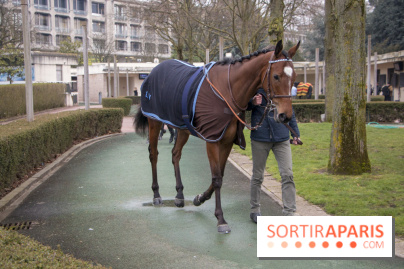 Les Dimanches au Galop 2018
