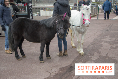 Les Dimanches au Galop 2018