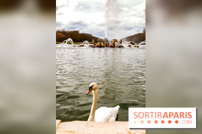 Les Grandes Eaux Musicales 2018 au Château de Versailles