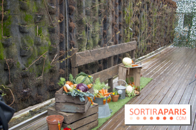 Chasse aux oeufs de Pâques Pierre Lapin au BHV Marais : les photos