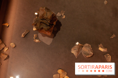 Exposition Néanderthal au Musée de l'Homme