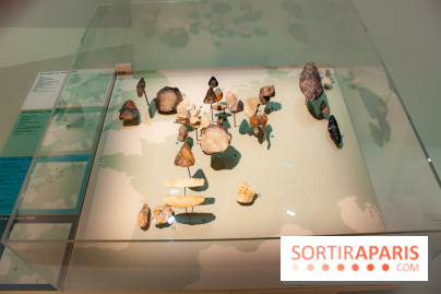 Exposition Néanderthal au Musée de l'Homme