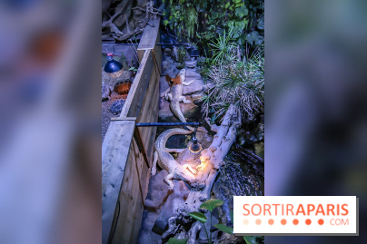 L'Aquarium de la Porte Dorée se renouvelle