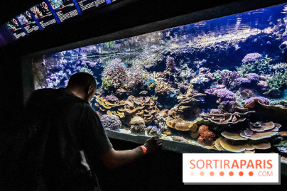 L'Aquarium de la Porte Dorée se renouvelle