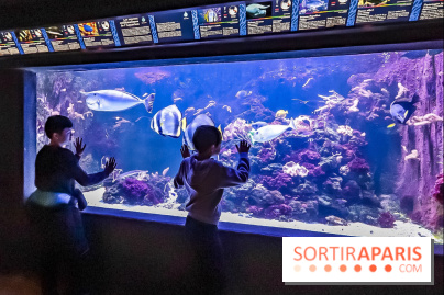 L'Aquarium de la Porte Dorée se renouvelle