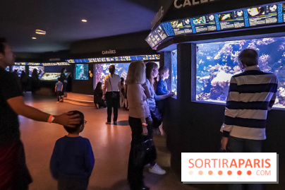 L'Aquarium de la Porte Dorée se renouvelle
