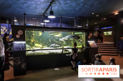 L'Aquarium de la Porte Dorée se renouvelle