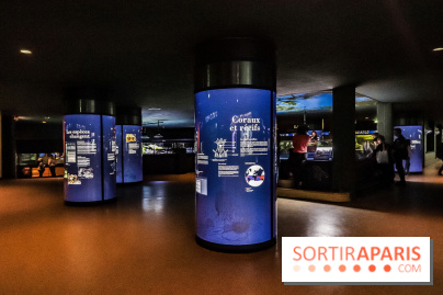 L'Aquarium de la Porte Dorée se renouvelle