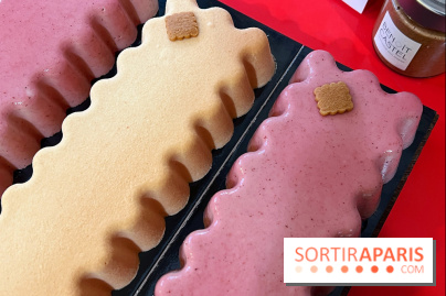 Les bûches de Noël 2022 de Benoit Castel