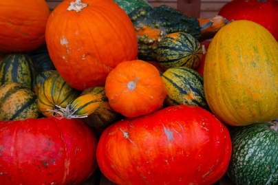 Vente solidaire de courges à prix libre chez Zone Sensible, Saint-Denis (93)