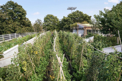 Ferme Suzanne