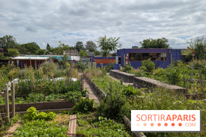 Terre Terre, la ferme-guinguette qui pousse au bord du canal à Aubervilliers (93)