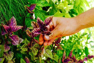 Un Noël solidaire avec Merci Raymond à la Station F
