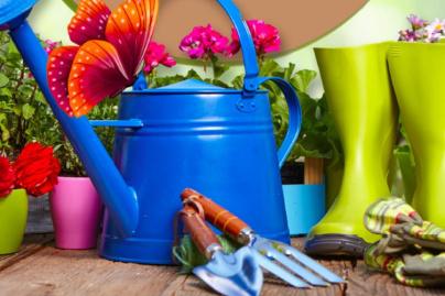 Festival Paroles de Plantes 2019 à La Ferté Gaucher